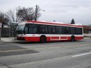 8956.JPG