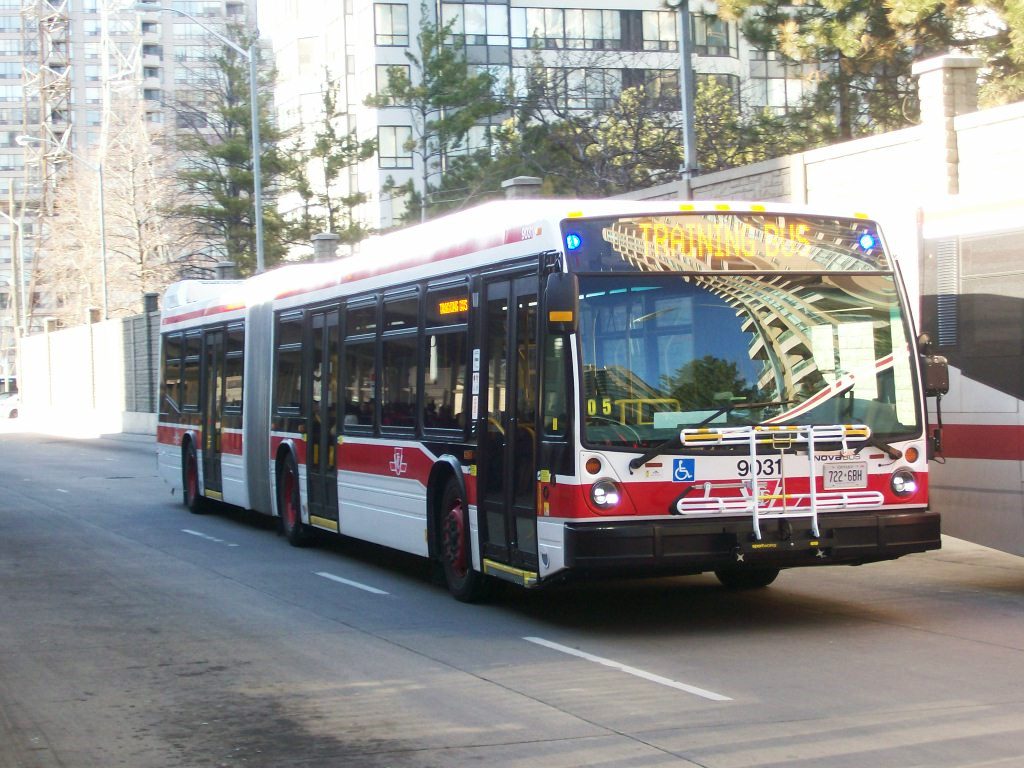 9031.JPG