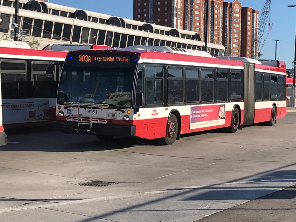 9151.JPG