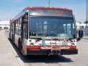 9145-3.jpg
