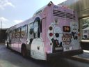9206-4.JPG