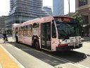 9206-5.JPG