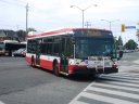 9207.JPG