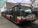 9215-2.JPG