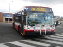 9215.JPG