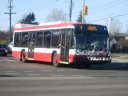9233.JPG