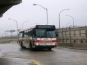9449.jpg