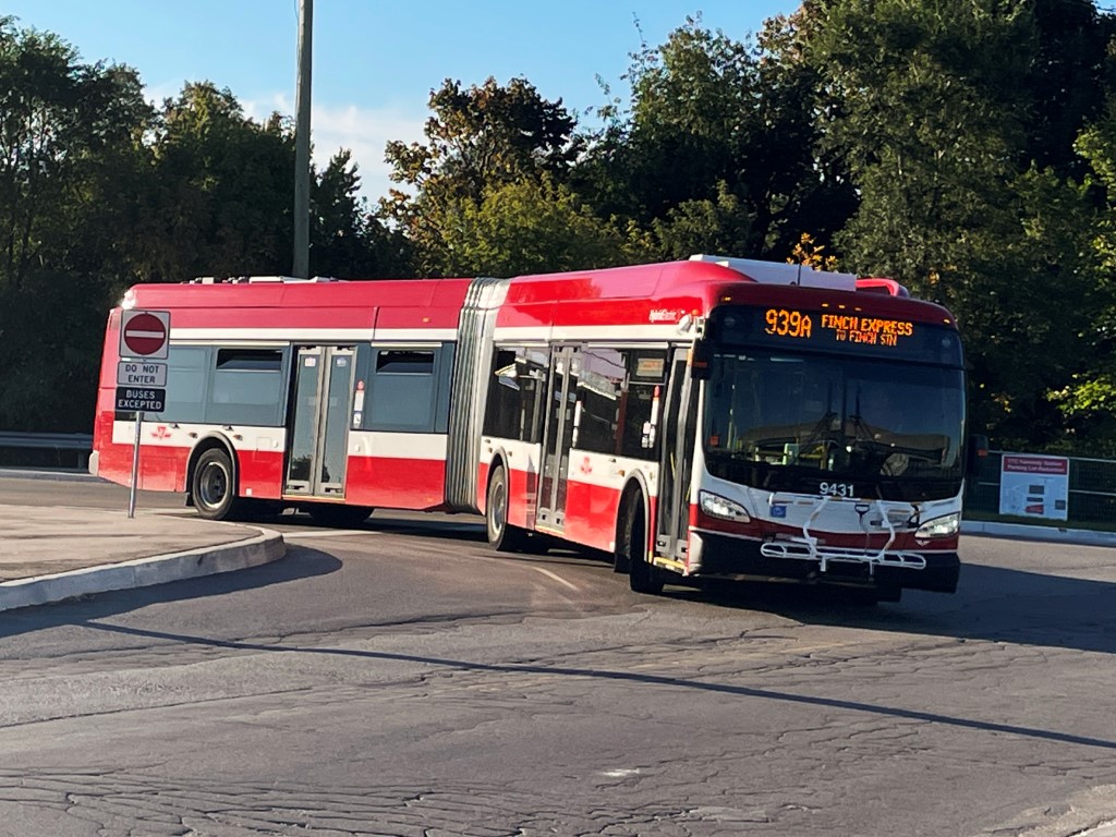 9431.JPG