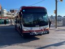 9428-1.JPG