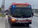 9441-1.JPG