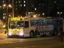 304-1.JPG