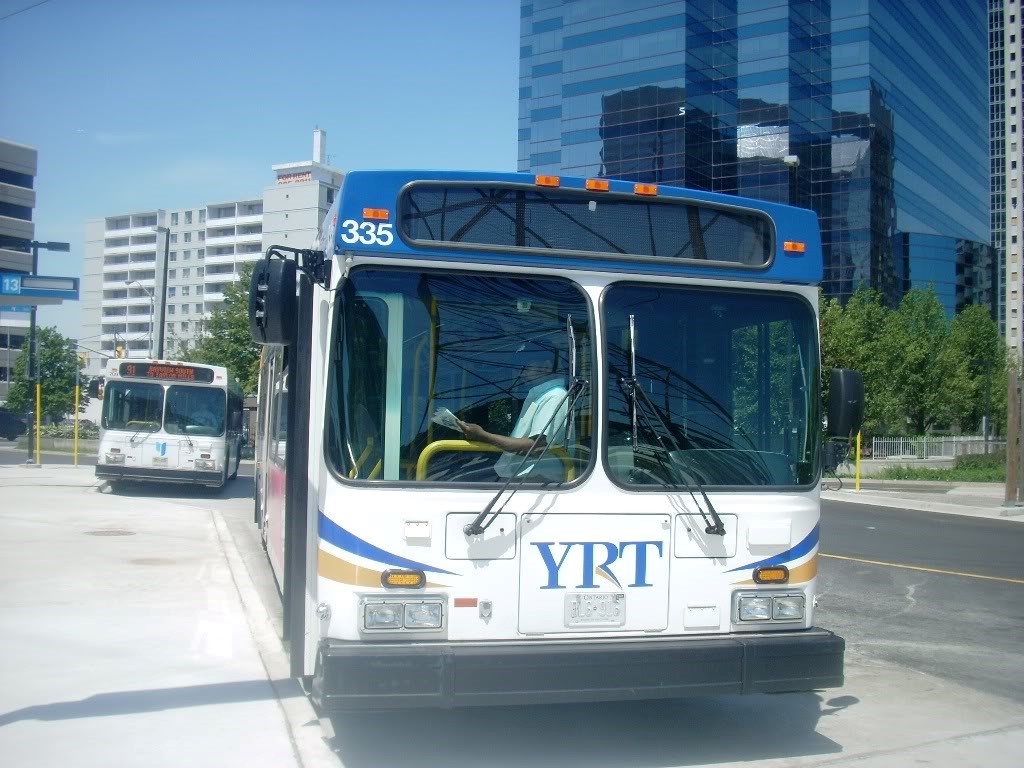 335.jpg