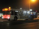 407.JPG