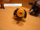 suc56943.jpg