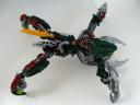 dsc00094.jpg