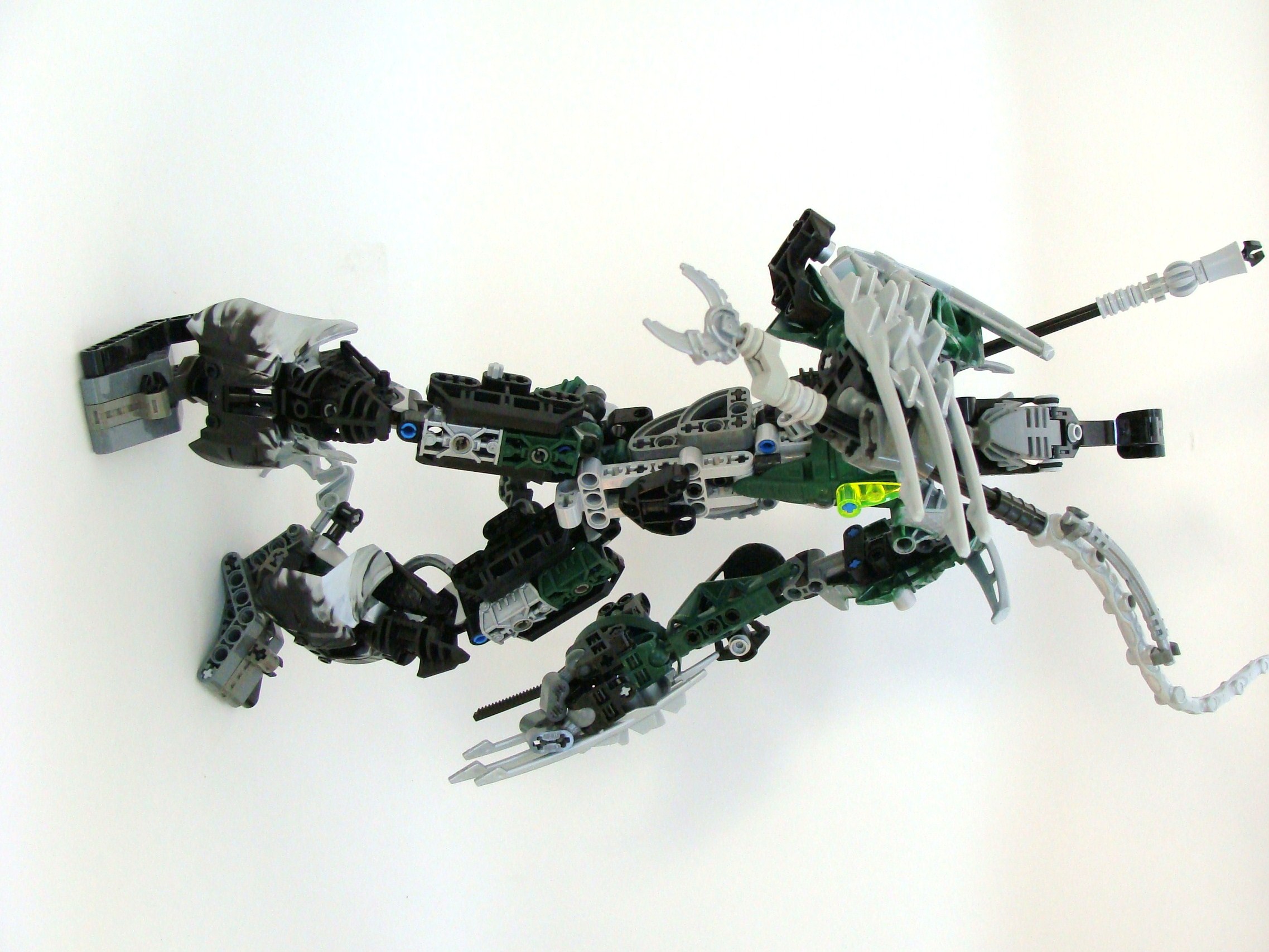 dsc00146.jpg