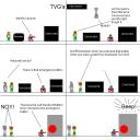 tvgcomics20.gif