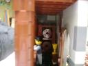 dsc04802.jpg