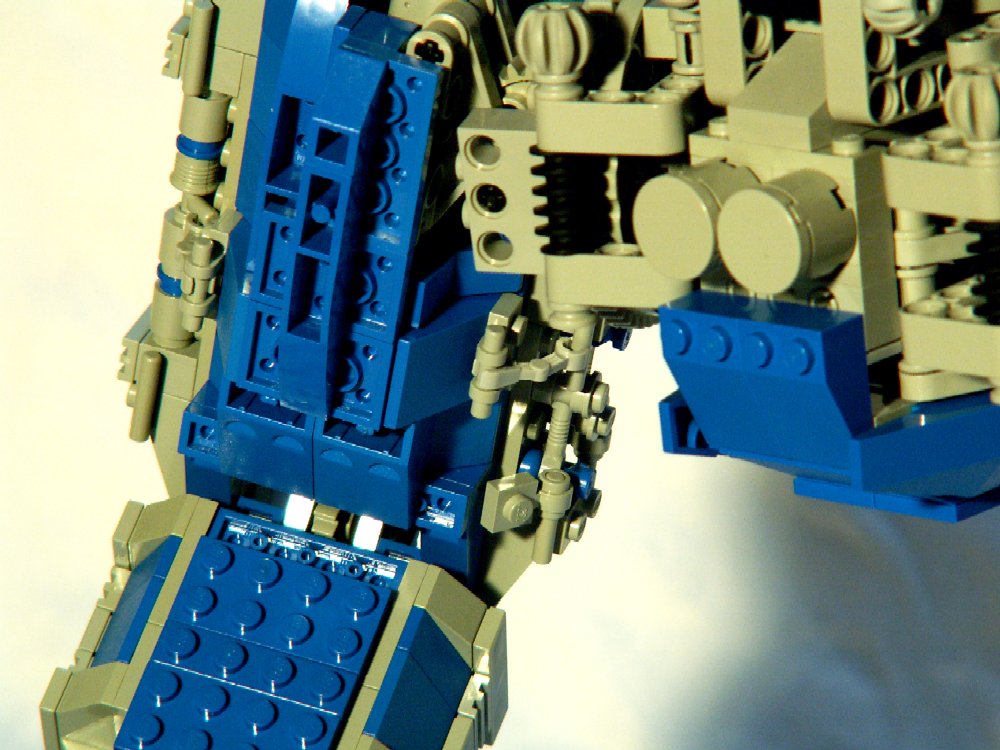 034-goliath-20.jpg