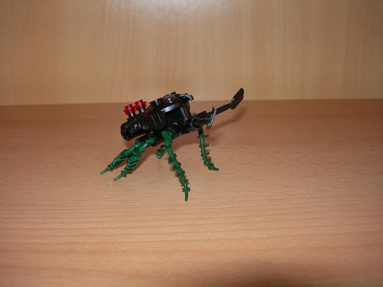 beetle1.jpg