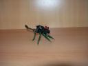 beetle4.jpg
