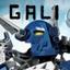 gali_-_avatar.jpg