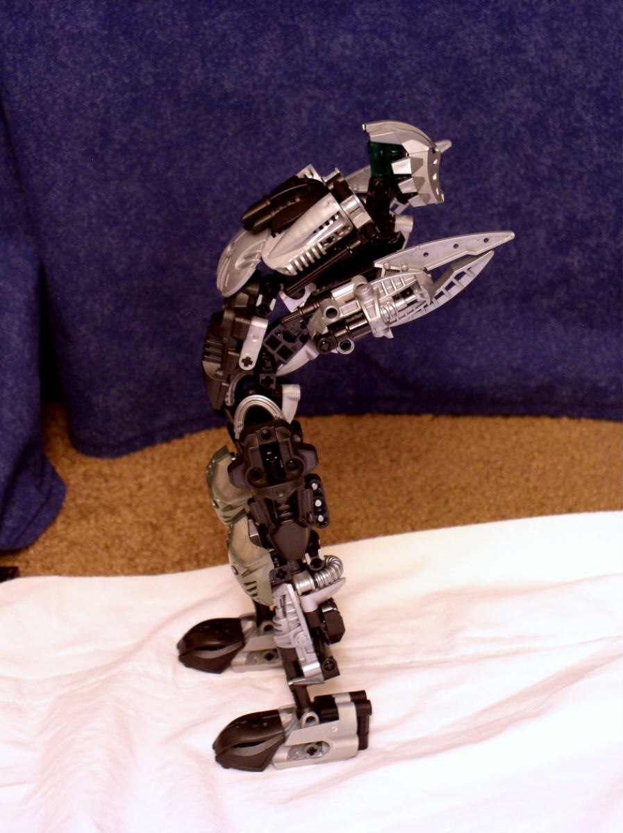 naiacor_14.jpg