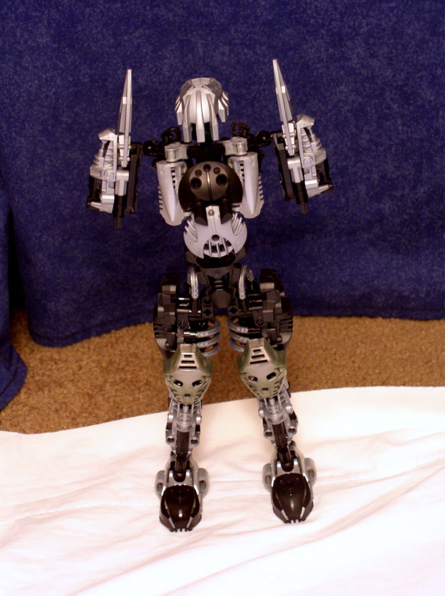 naiacor_8.jpg