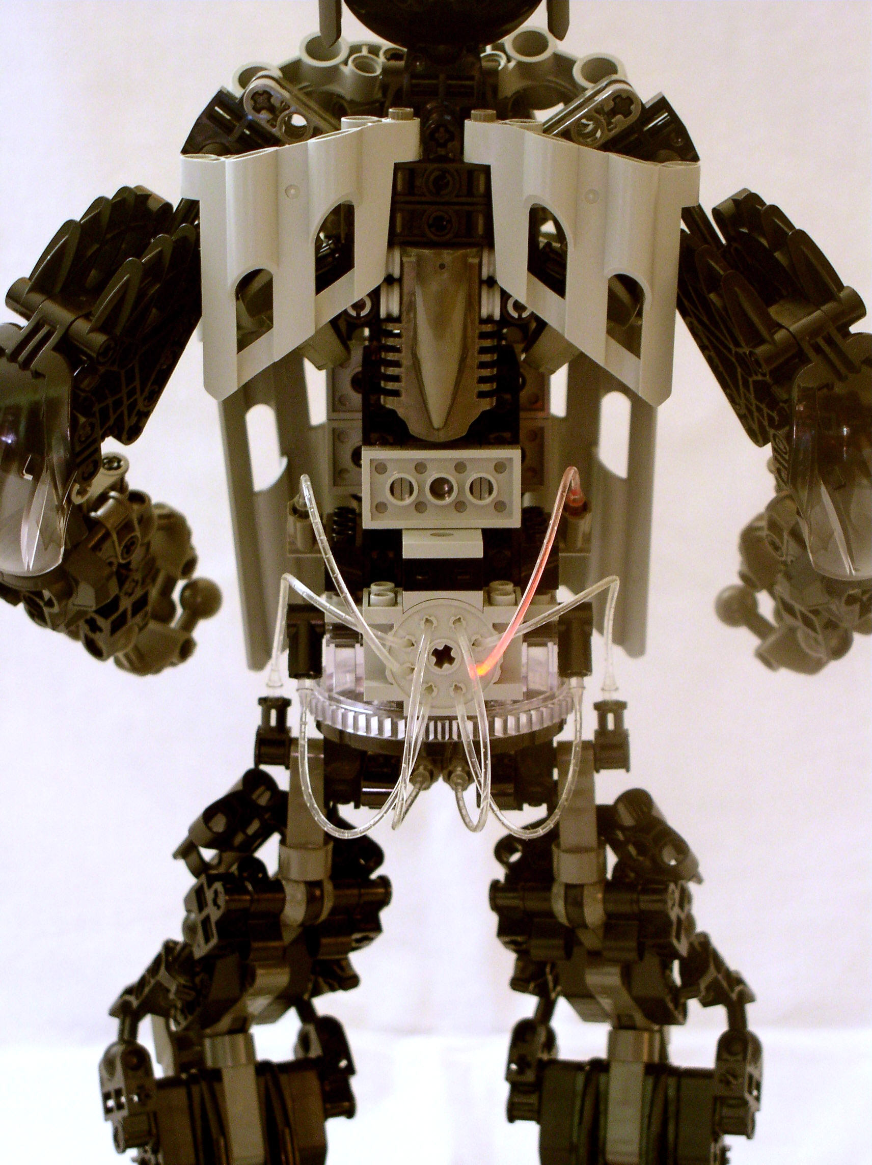 backdetail.jpg