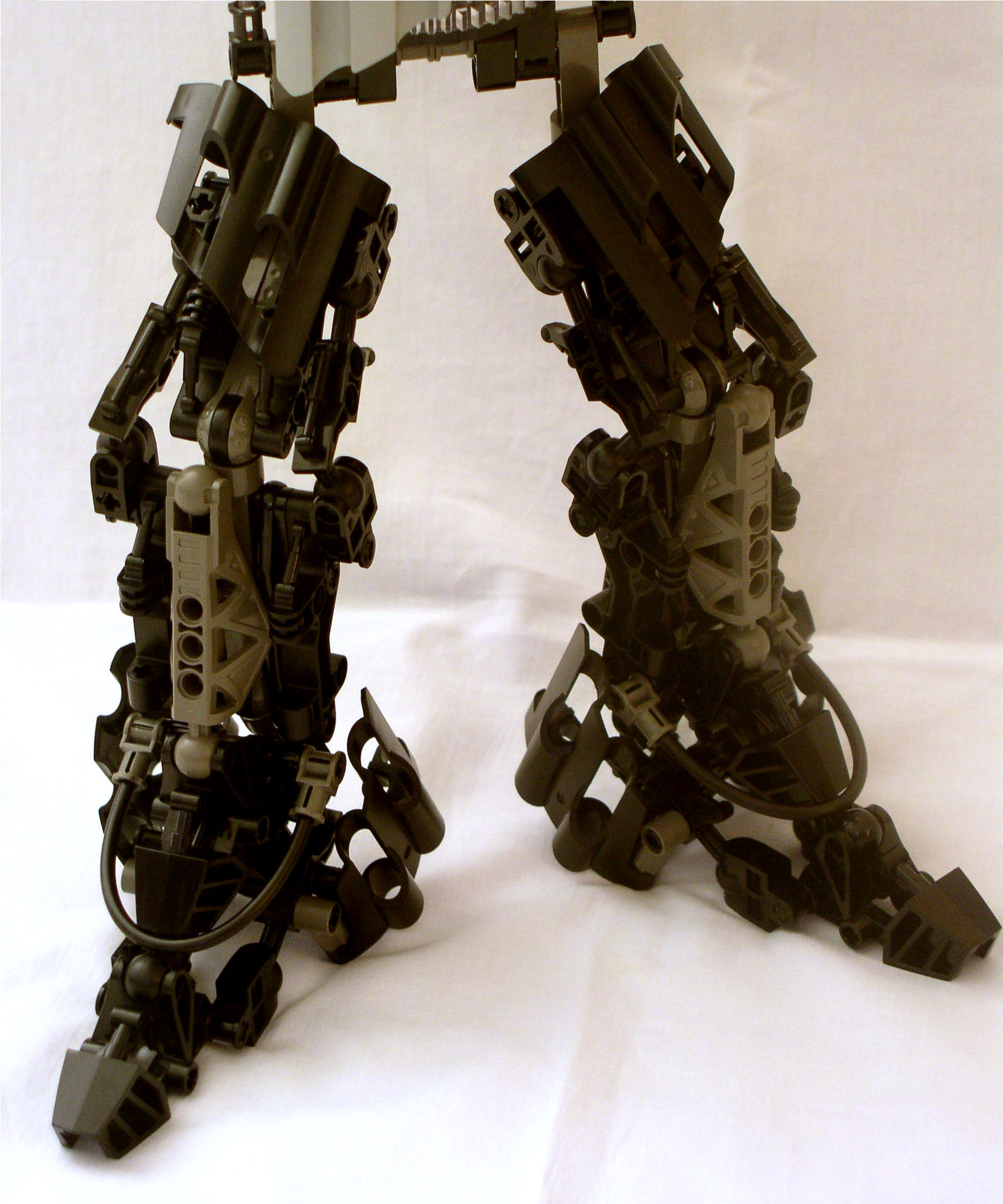 legs.jpg