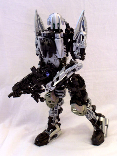 naiacor_entrypic.jpg