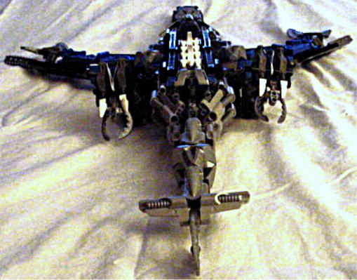 kotaymabackview.jpg
