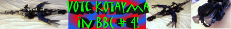 sig-banner.jpg