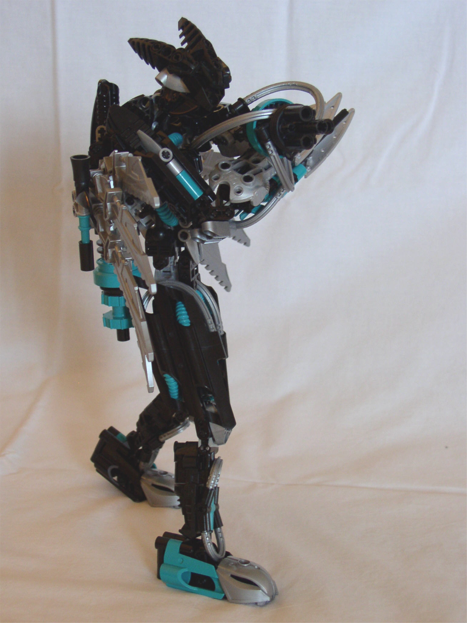 pose_1a.jpg