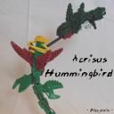 BBCNumber42-Acrisus