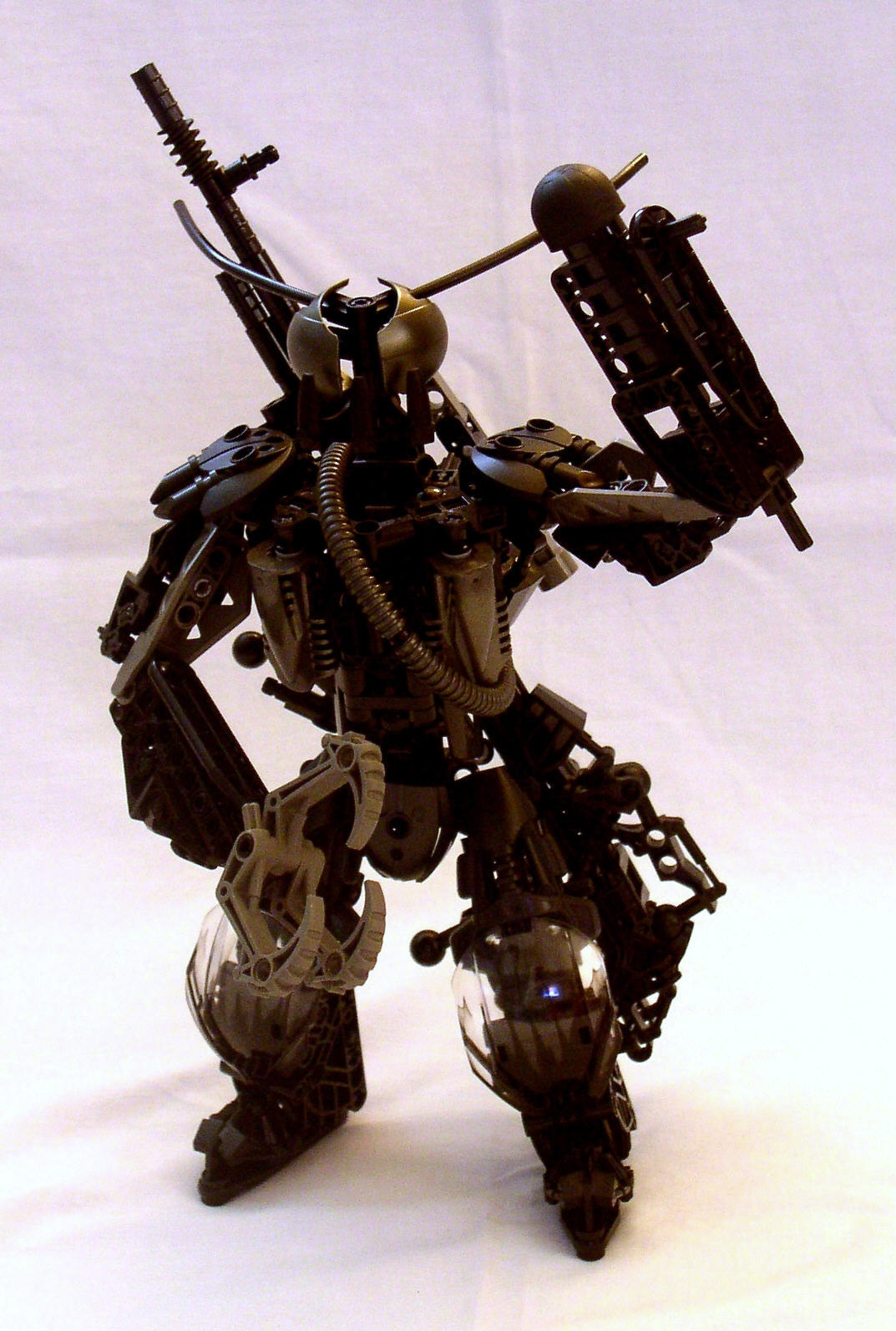 nephridia_front.jpg