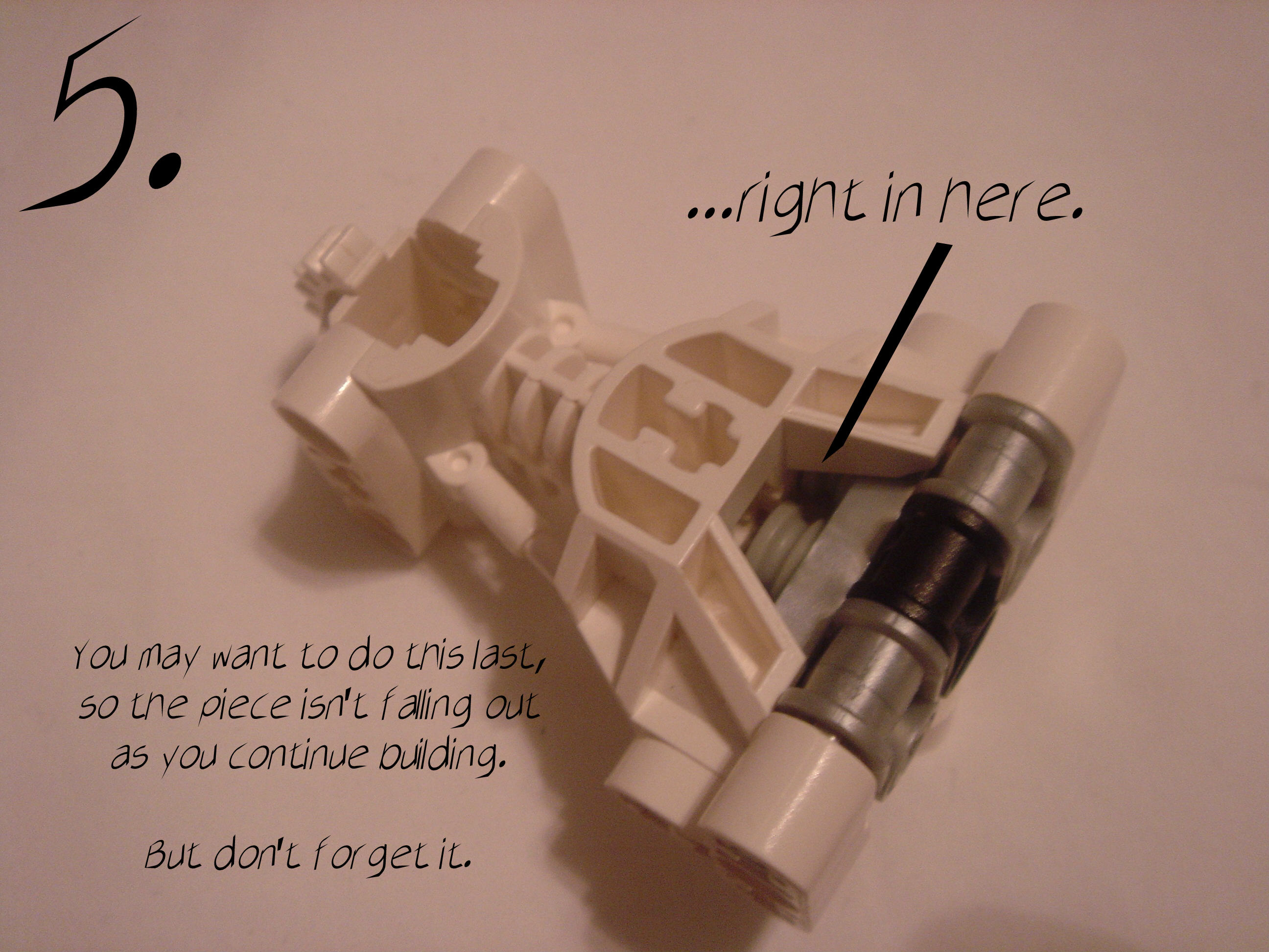 mna-lowertorso05.jpg