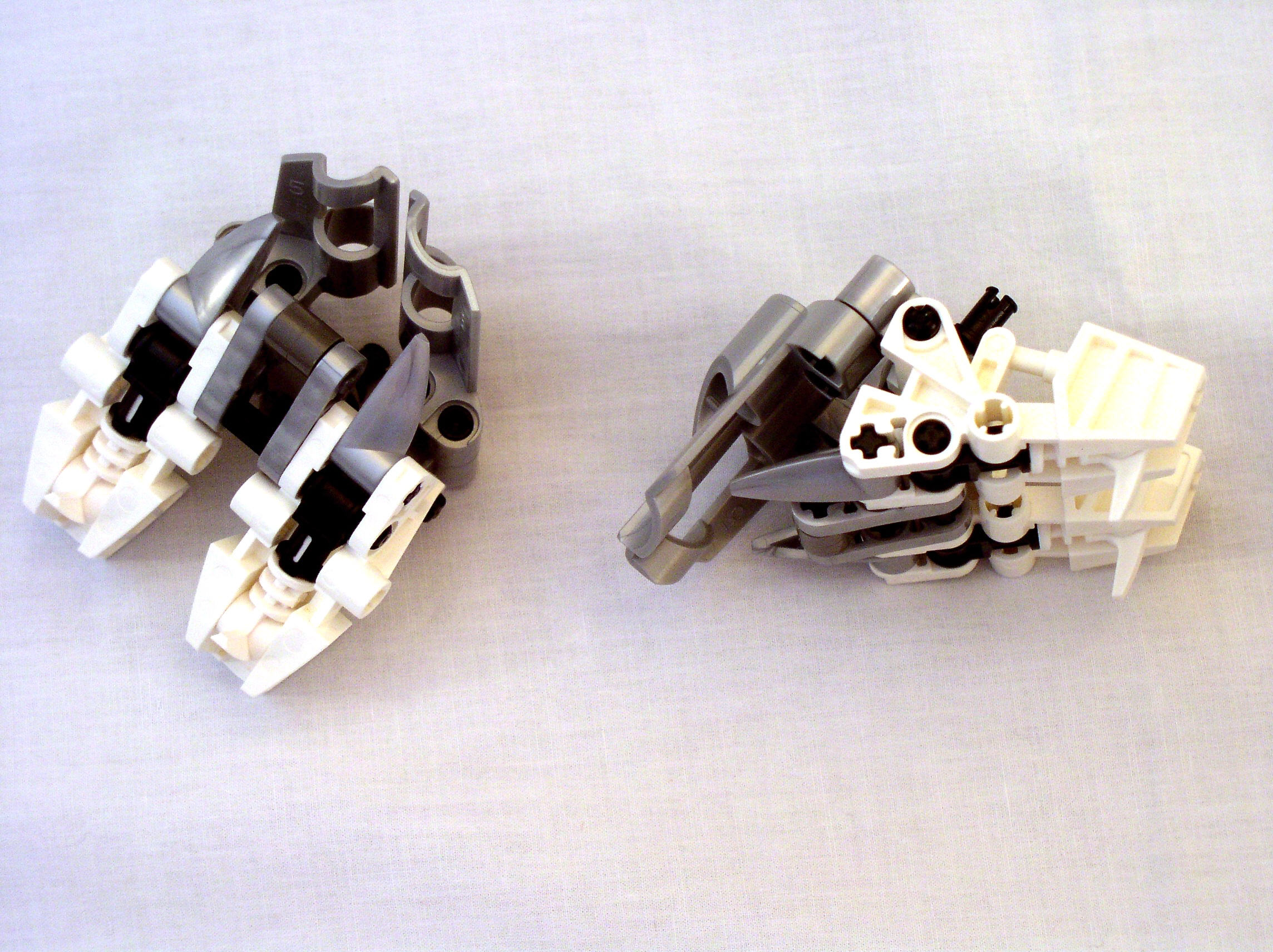mn2_dissection_feet_bs.jpg