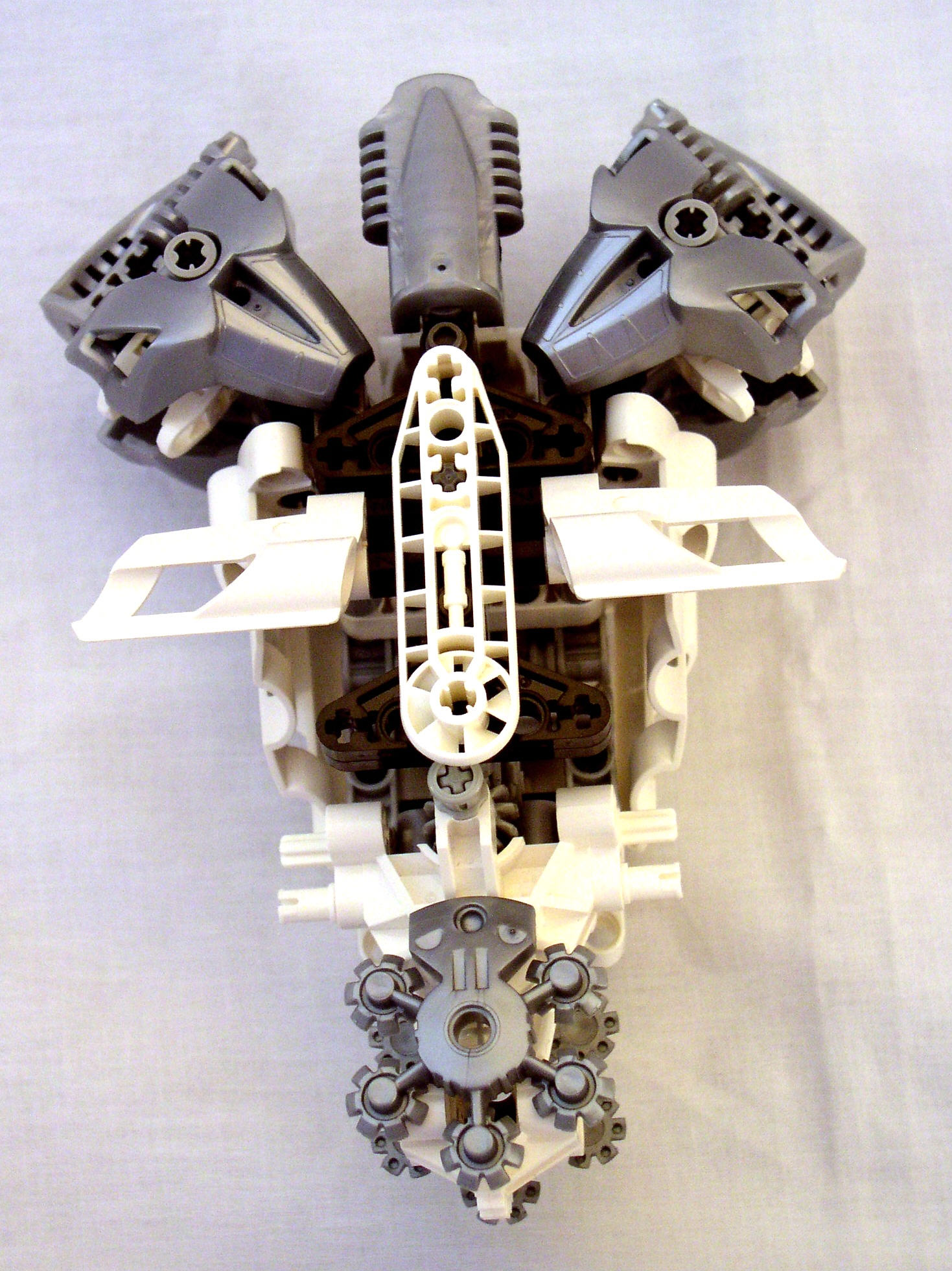 mn2_dissection_torso_and_hip_back.jpg