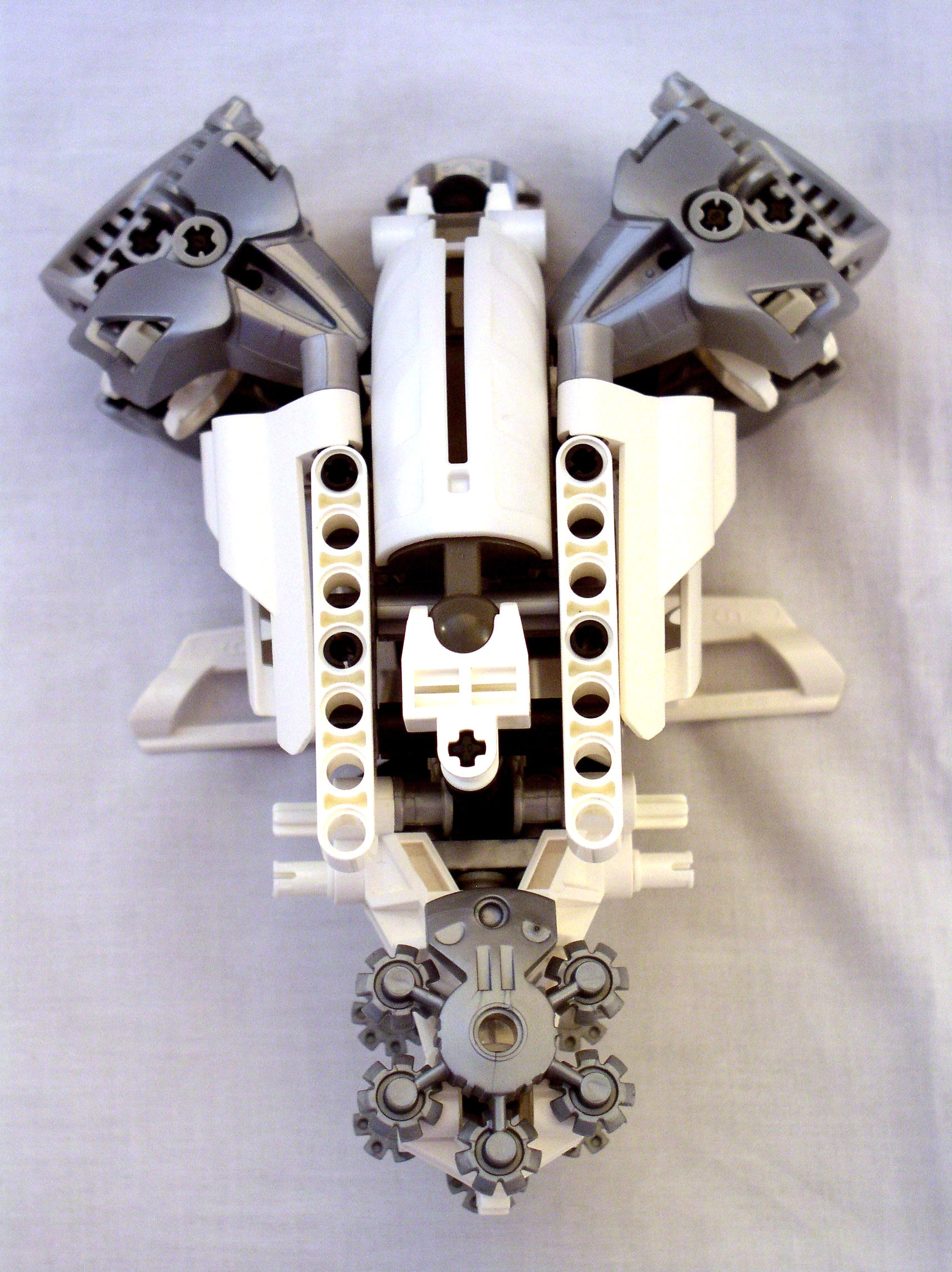 mn2_dissection_torso_and_hip_front1.jpg