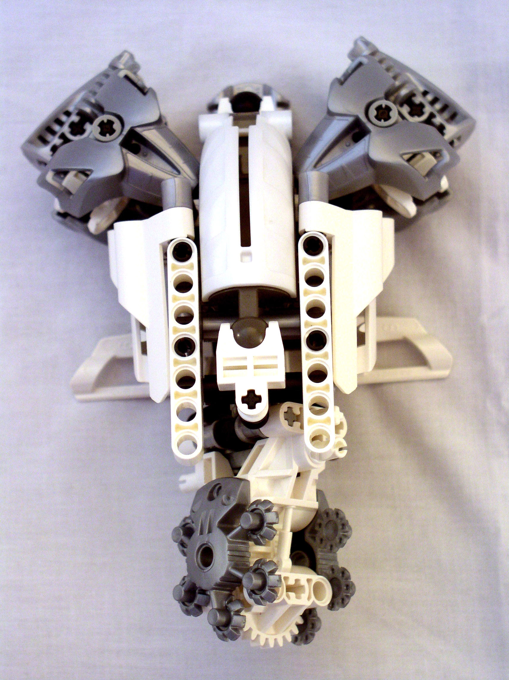 mn2_dissection_torso_and_hip_front2.jpg