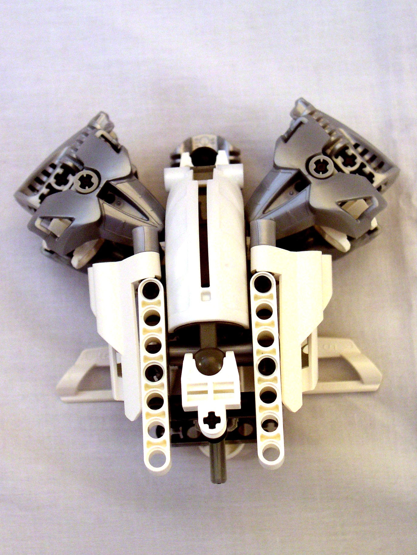 mn2_dissection_torso_front.jpg