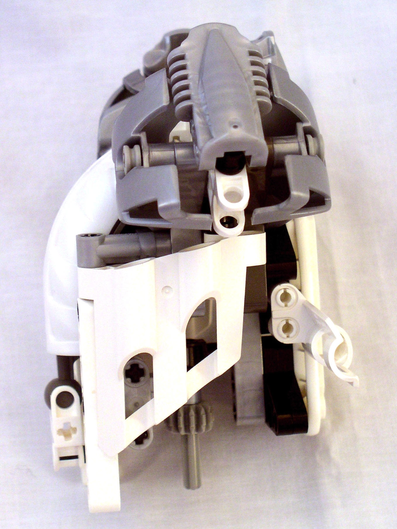 mn2_dissection_torso_side.jpg