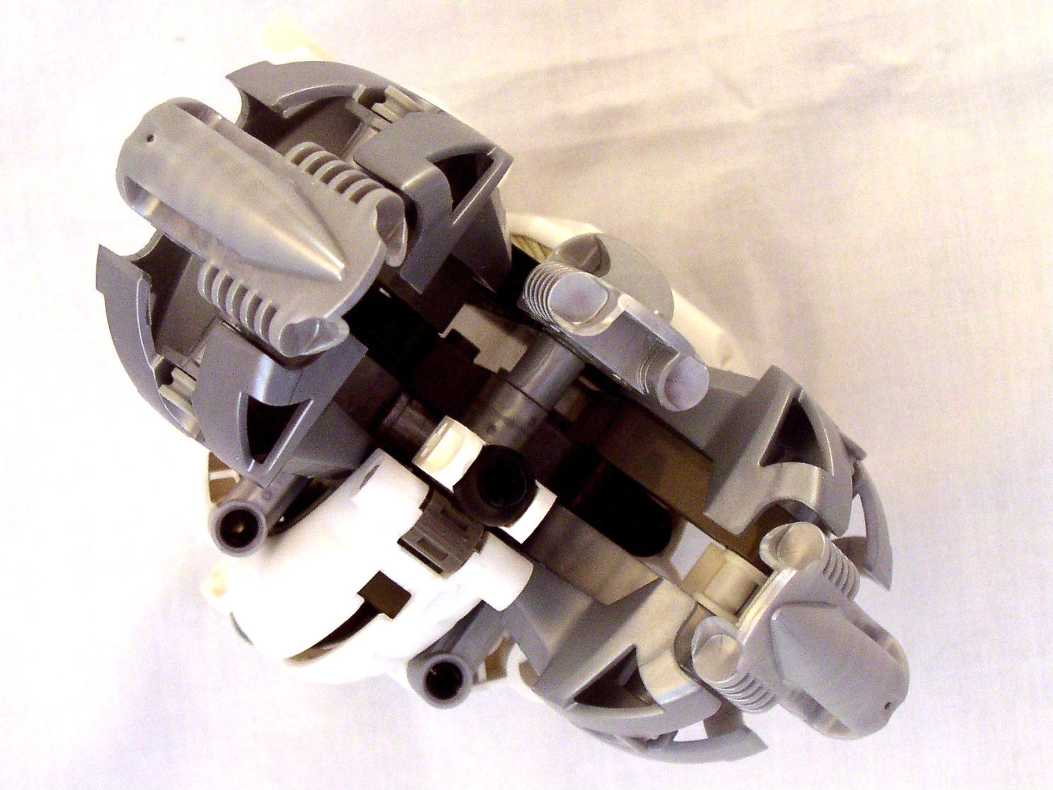 mn2_dissection_torso_top.jpg