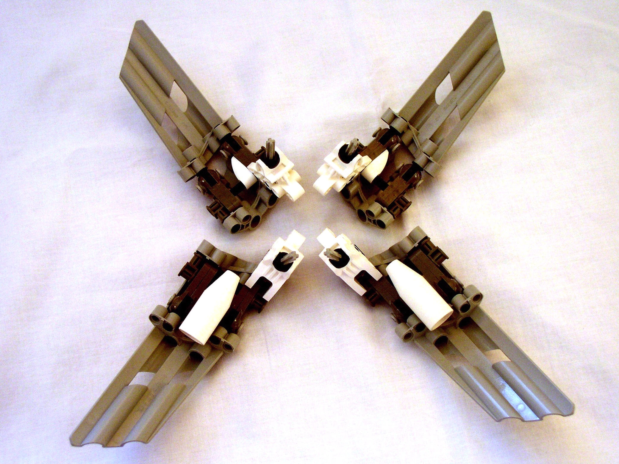 mn2_dissection_wings_bottom.jpg