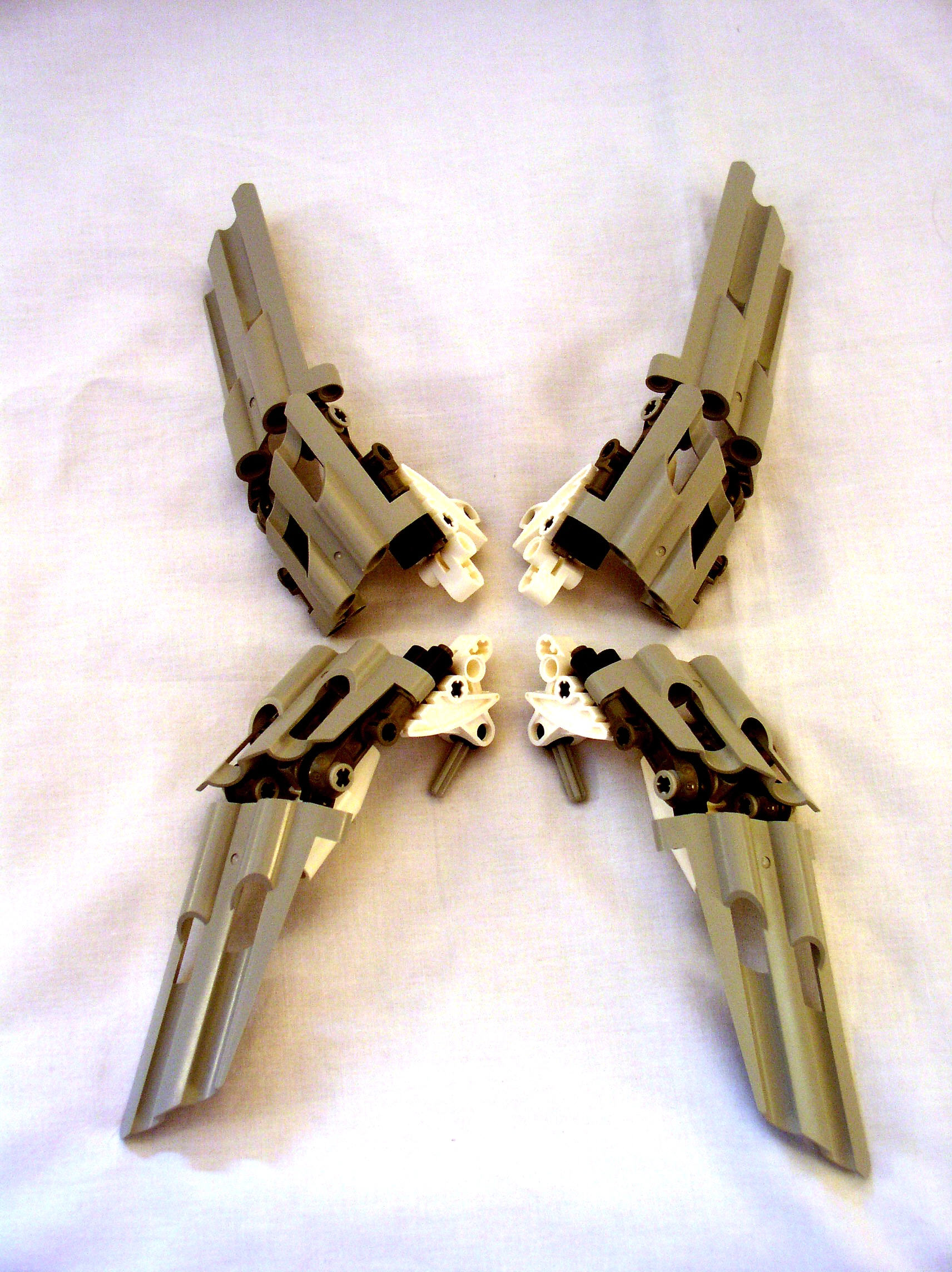 mn2_dissection_wings_top.jpg