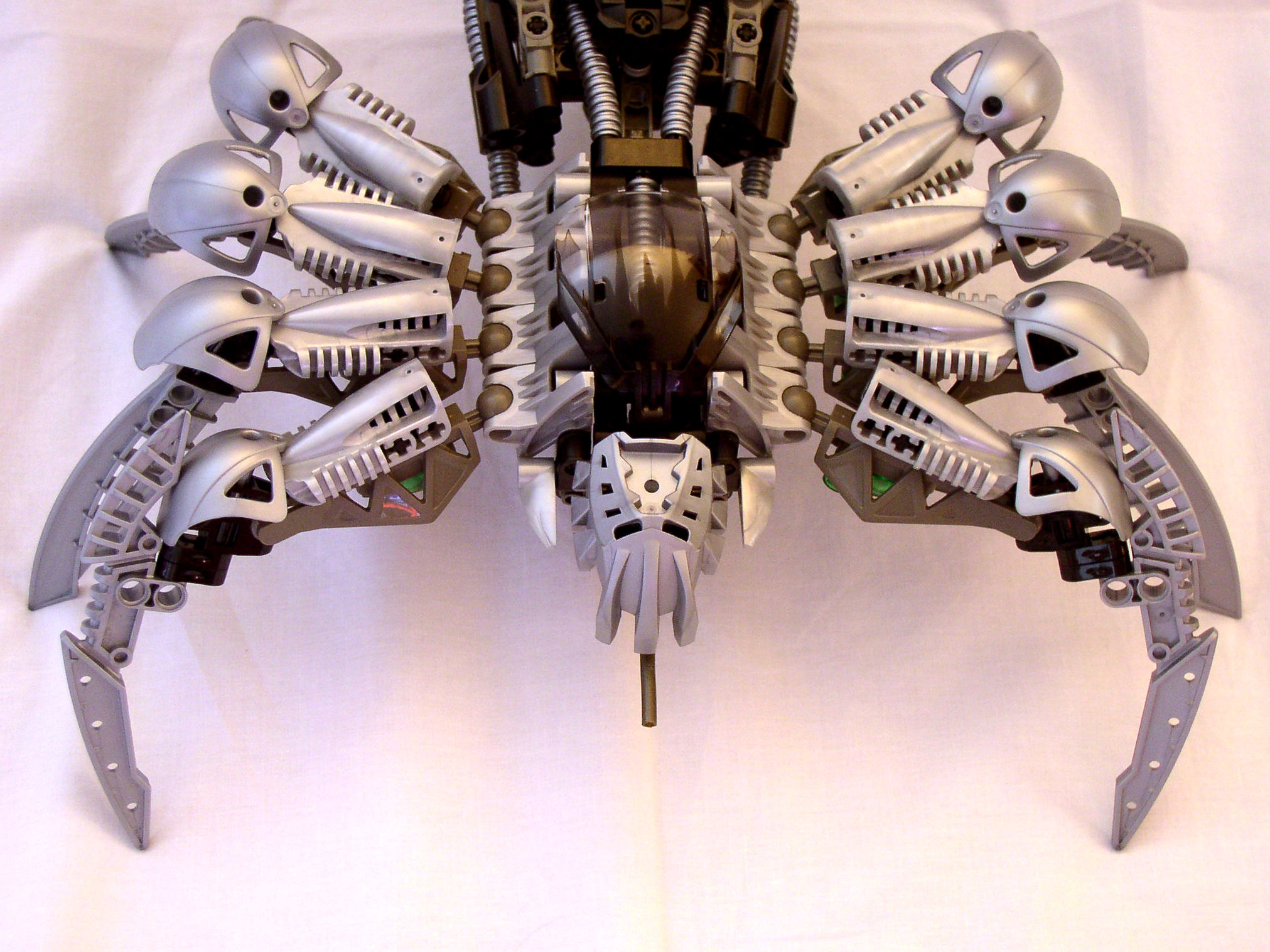mhf451_abdomen_and_legs.jpg