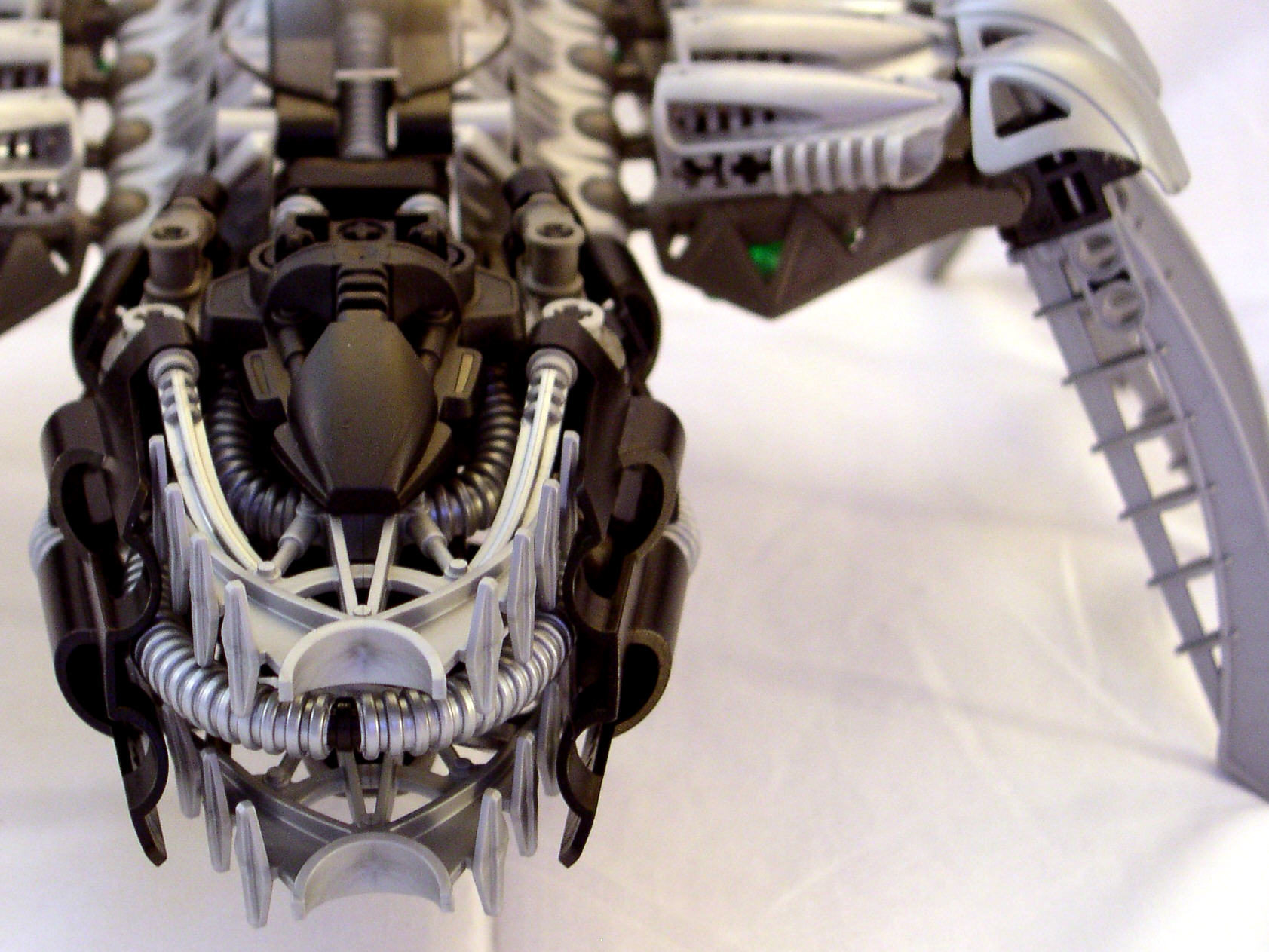 mhf451_thorax_detail3.jpg