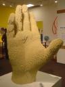 the_hand_03.jpg