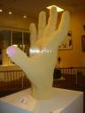 the_hand_06.jpg